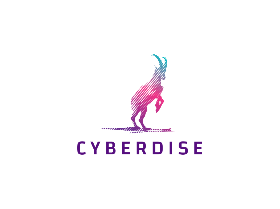 Cyberdise